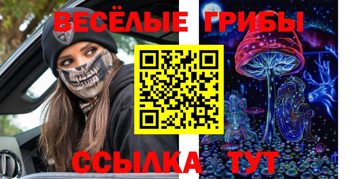 Псилоцибиновые грибы мицелий  Псилоцибиновые грибы GOLDEN TEACHER  Воронеж  Вход с VPN 